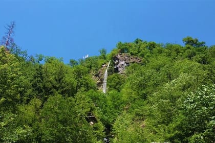 Georgia Wellness Escape: 8 Days/7 Nights Package