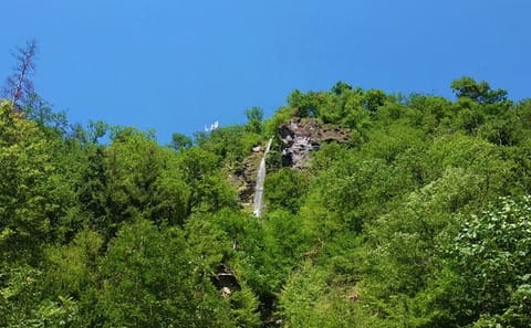 Wellness Tour in Akhaltsikhe, Aspindza, and Bakuriani