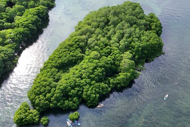 Uzi Island Mangrove Adventure – Kayaking & Village Discovery