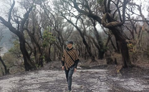 ATV Tour of Tangkuban Perahu and Domas Crater from Jakarta