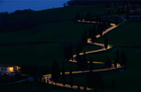 Golf Cart Tour: Firenze di Notte 6