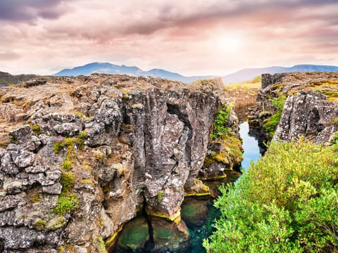 Golden Circle & Meet the Icelandic Horses | English Guide + Selected German Departures, photo 4