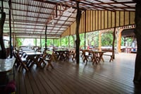 Elephant World Kanchanaburi with Private Transport from Bangkok 3