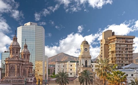 7-Day Culinary and Wine Tour in Casablanca and Mendoza