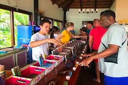 Zipline, Sloths & Monkeys Cruise Family Adventure