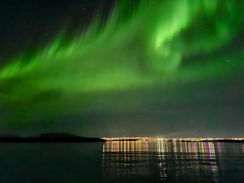 Reykjavík Northern Lights & City Cruise, photo 3