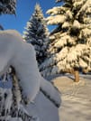 Private 2-day Trip with Snowshoes 4