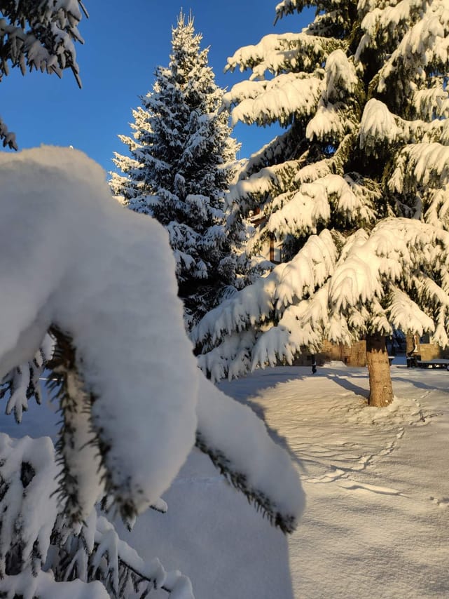 Private 2-day Trip with Snowshoes 4