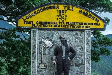 James Taylor’s Historic Tea Experience Tour in Loolkandura, Sri Lanka