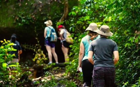 Kbal Spean Trekking Tour with Banteay Srei Visit in Siem Reap