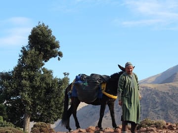 2 Days Trek in The High Atlas Mountain