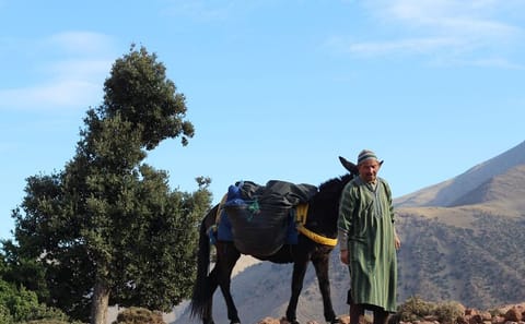 2 Days Trek in The High Atlas Mountain