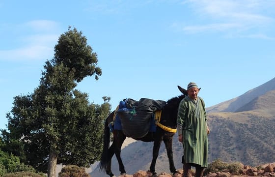 2 Days Trek in The High Atlas Mountain