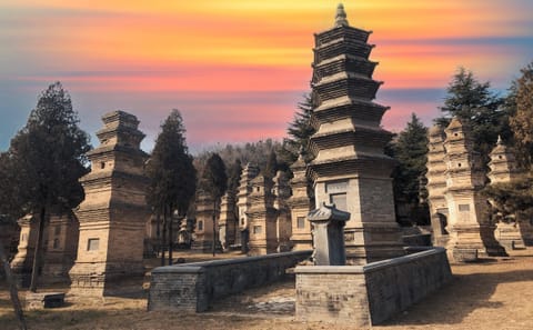 Day Trip from Xi'an to Luoyang: Longmen Grottoes & Shaolin Temple