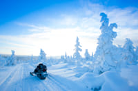 Arctic Circle Snowmobile Safari 1H 1