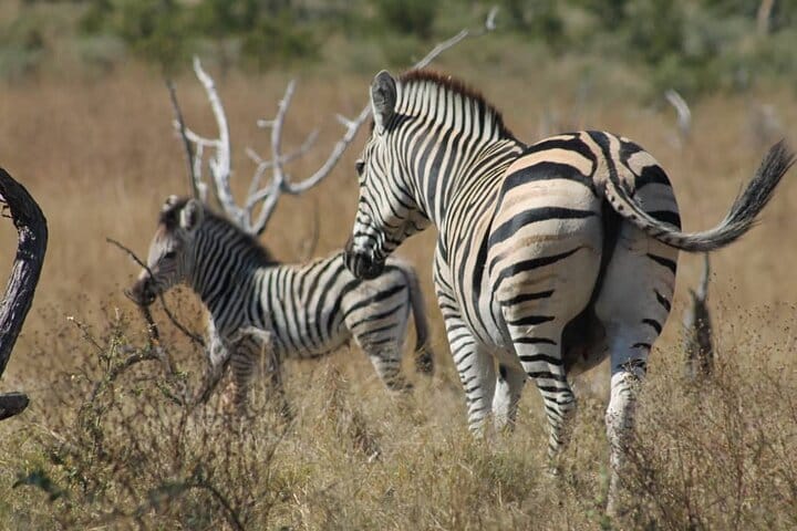 15 minutes scenic helicopter flight above Victoria Falls-Zimbabwe