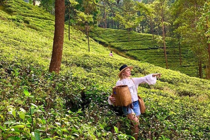 The Secret Escapes | 14 Days