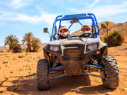 ½ Day : Buggy Adventure in Desert & Palms | Private & Luxury 10