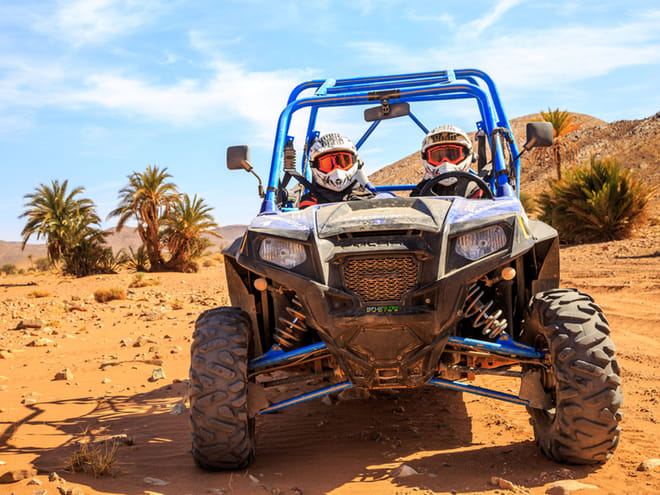 ½ Day : Buggy Adventure in Desert & Palms | Private & Luxury 10