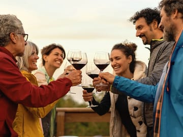 5-Day Wine and Culture Tour of Georgia's Vineyards and Tbilisi