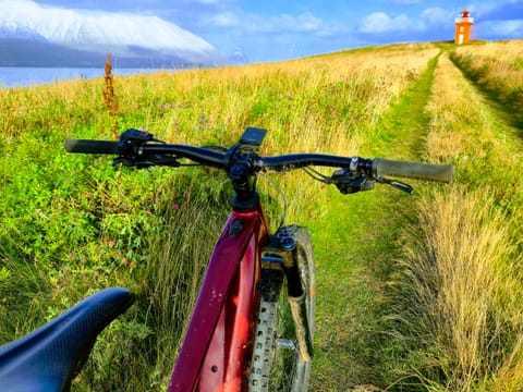 Hrísey island private E-mtb tour, photo 4