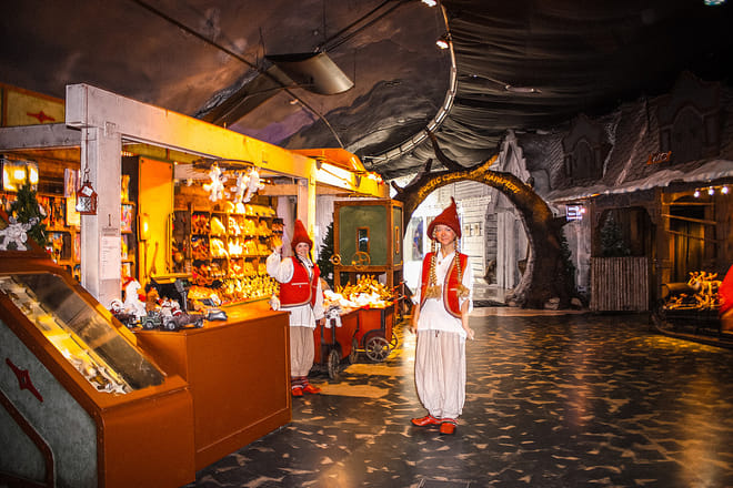 Santa's Village and Arctic Circle Guided Tour photo 3