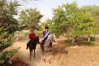Desert Horse Riding- 1 Hour 3