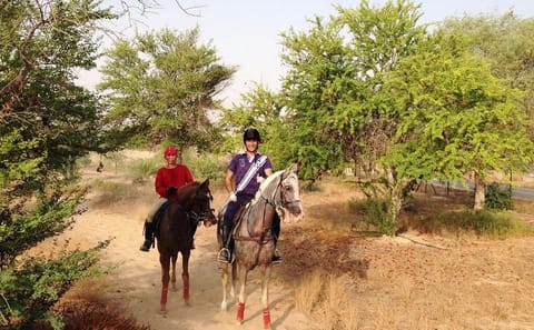 Horseback Riding in Dubai's Scenic Desert Dunes - 1 Hour