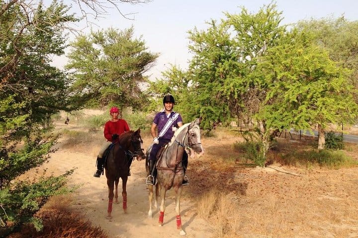 Desert Horse Riding- 1 Hour 3