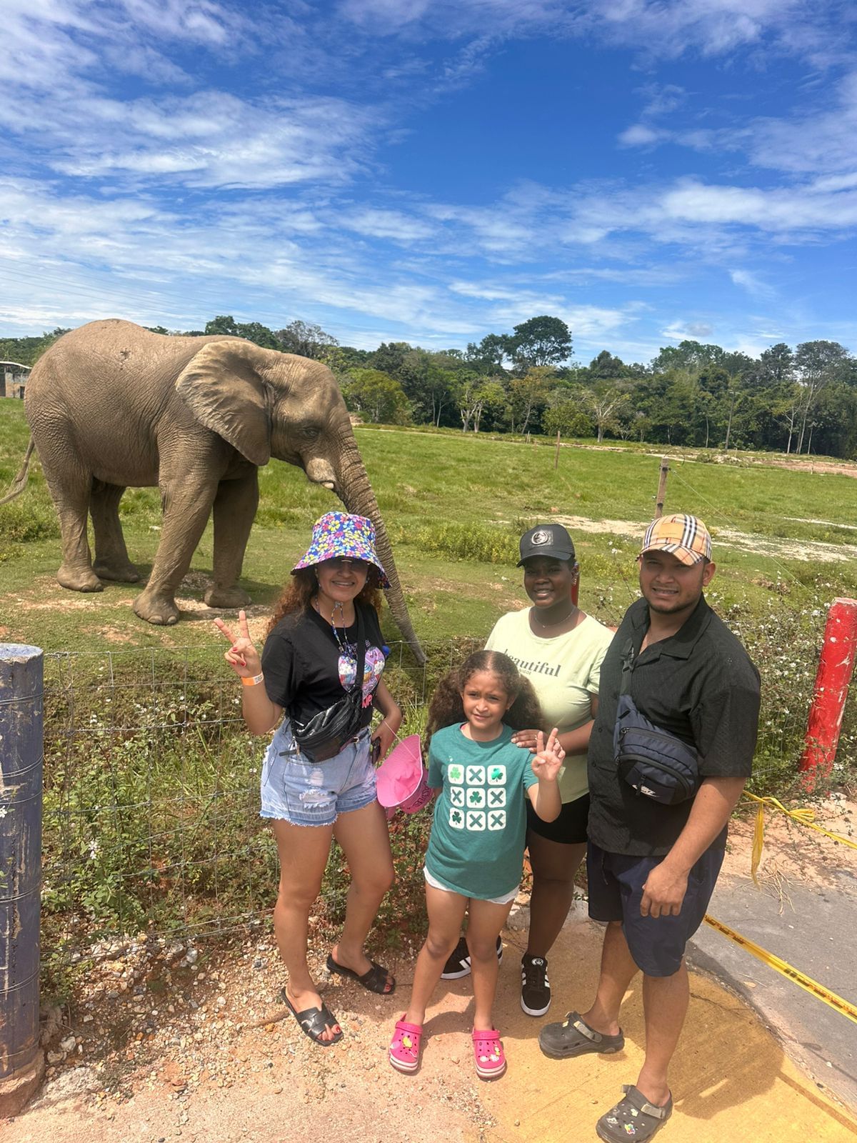Elefante en Hacienda Nápoles