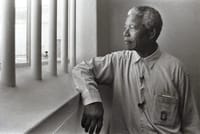3 Days Private Tour: Cape point, Table Mountain & Robben Island  1