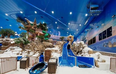 Desert Adventure Tour in Abu Dhabi's Unique Landscape