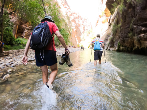 Zion Canyon National Park Private Day Tour for up to 5 guests by Bindlestiff Tours