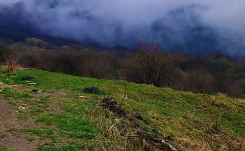 Hiking Tour to Lagodekhi National Park from Tbilisi