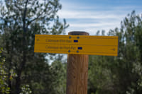 Hiking in the Calanques National Park from Luminy 9
