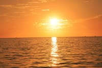 Watch the sky turn golden as you sail into a breathtaking Los Cabos sunset—an unforgettable highlight of your private catamaran cruise.