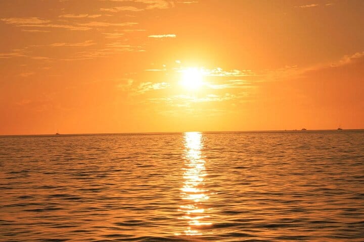 Watch the sky turn golden as you sail into a breathtaking Los Cabos sunset—an unforgettable highlight of your private catamaran cruise.