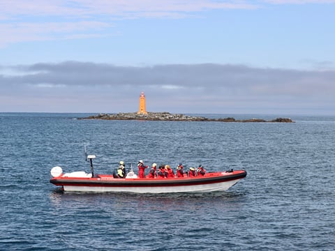 Express Whale Watching From Dalvík, photo 9