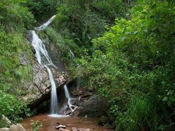 Small Circuit with Yungas in Tucuman