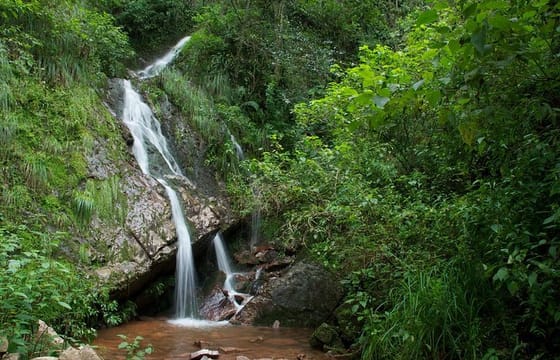 Yungas Half-Day Tour from Tucuman