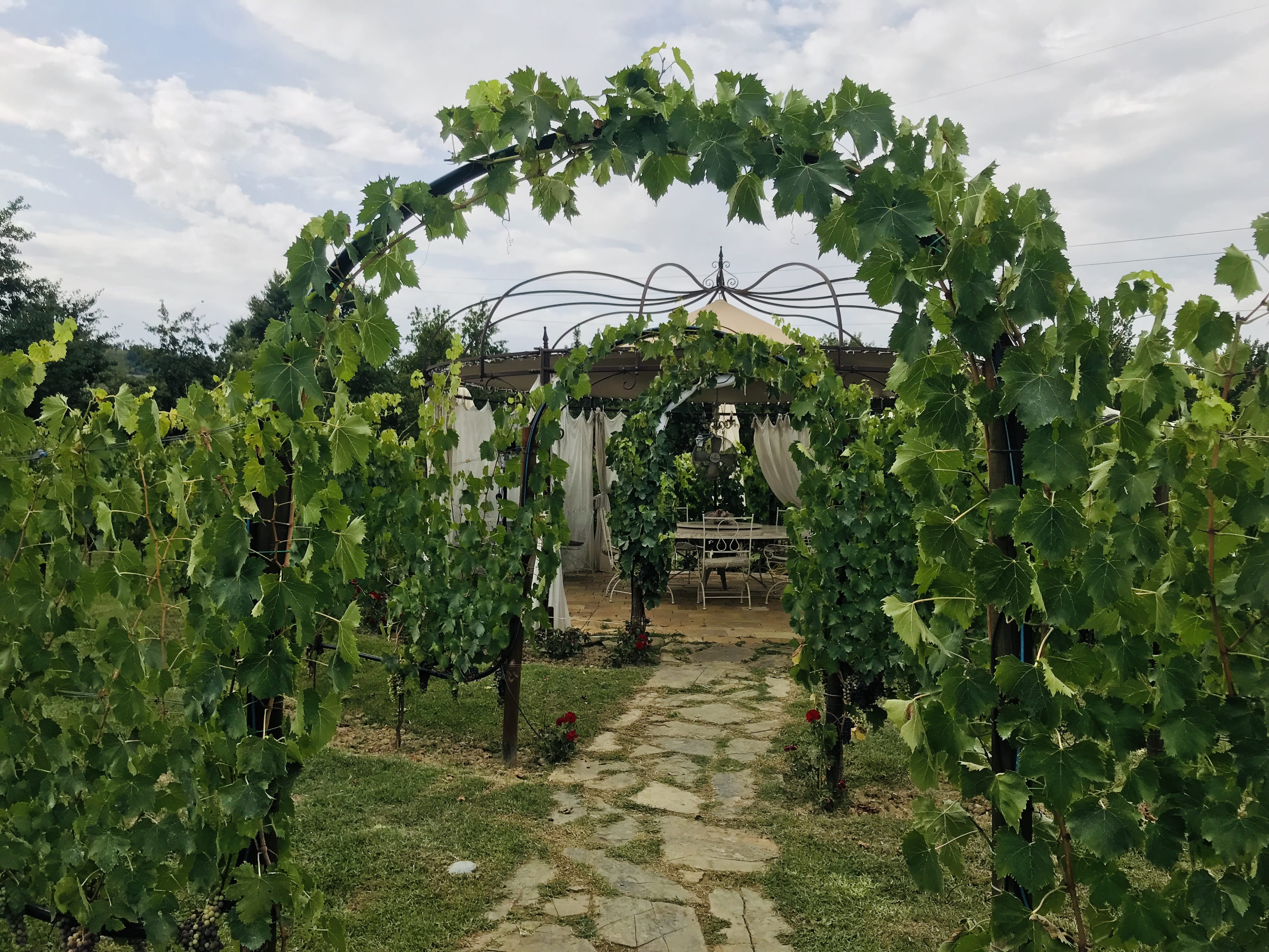 OT Tuscany: Chianti Semi-Private Wine Tasting and Dinner in Vineyard