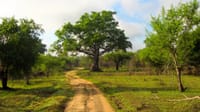 Ceylon Eco & Safari Tour 5