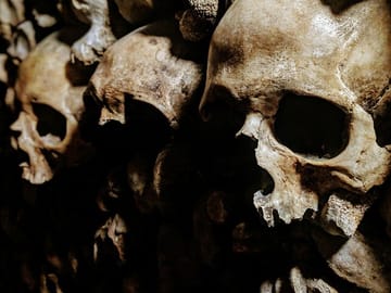 Explore the Catacombs of Paris on a Guided Day Tour