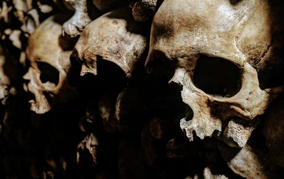 Explore the Catacombs of Paris on a Guided Day Tour