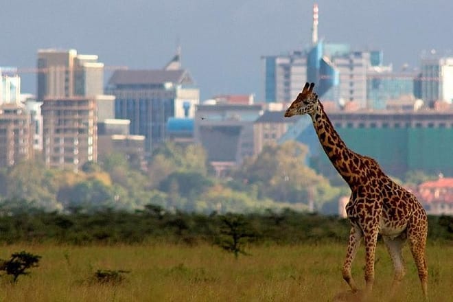 Nairobi National park city park