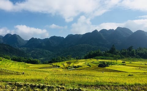 Pu Luong Nature Reserve 2 Days Small Group Tour from Hanoi