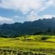 Amazing Pu Luong Nature Reserve 2 Days Tour from Hanoi - All included