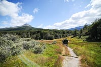 Half-Day Small-Group Tierra del Fuego National Park Tour 5