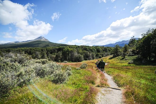 Half-Day Small-Group Tierra del Fuego National Park Tour from Ushuaia photo 5