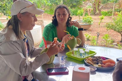 Private Mekong Orchard Visit Non Tourist